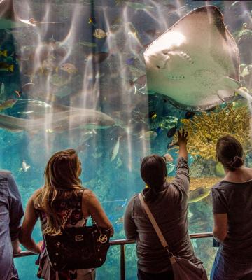 Aquarium of the pacific in Long Beach, CA